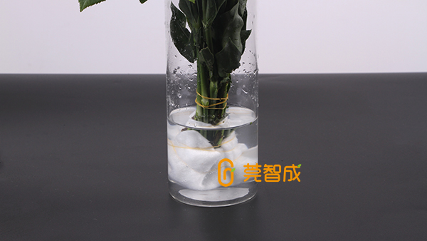 鮮花吸水棉
