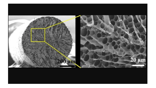 科學家們開發出能升降溫的相變織物